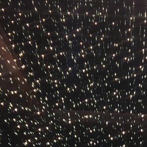 Meet your Posher, Flavia